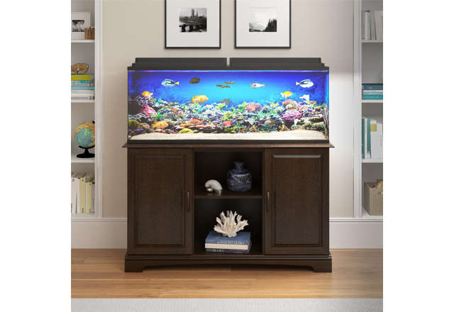 A closer look at Fish Tank Sizes Available
